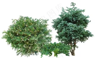 免扣植物素材图片