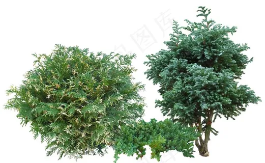 免扣植物素材图片 免扣植物素材图片