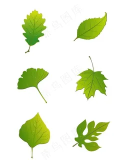 叶子素材图片 叶子素材图片