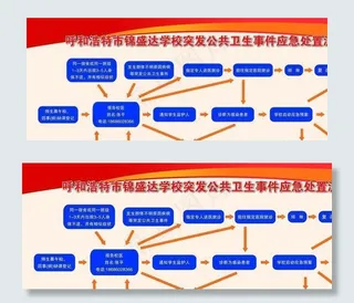 流程图  展板  红色  疫情图片