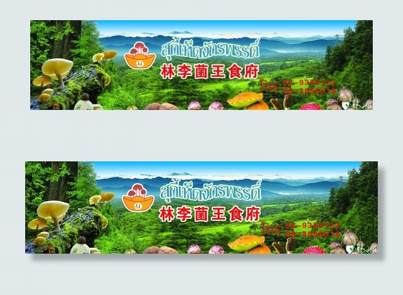 野生菌图片(3898X1141(DPI:10))psd模版下载