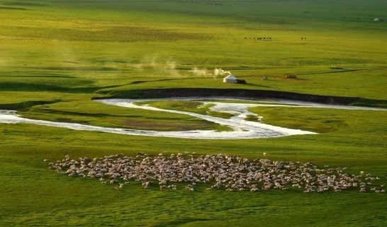 草原牧羊图图片