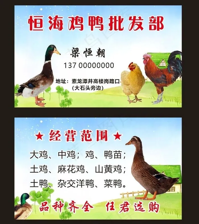 鸡鸭名片图片cdr矢量模版下载