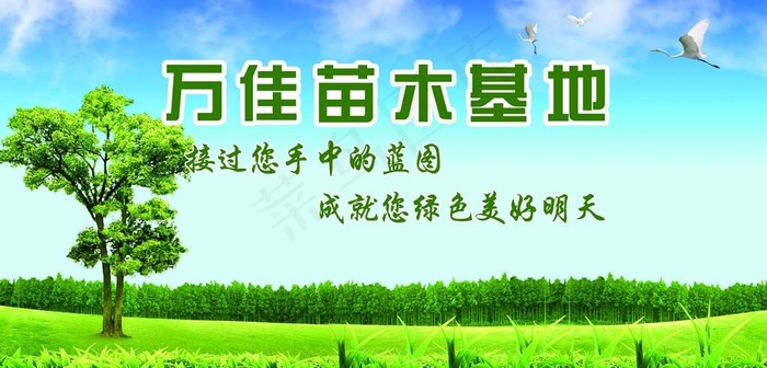 苗木宣传海报图片(8071X4134(DPI:100))psd模版下载
