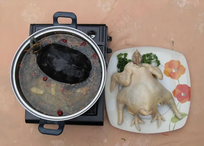 甲鱼煲鸡图片