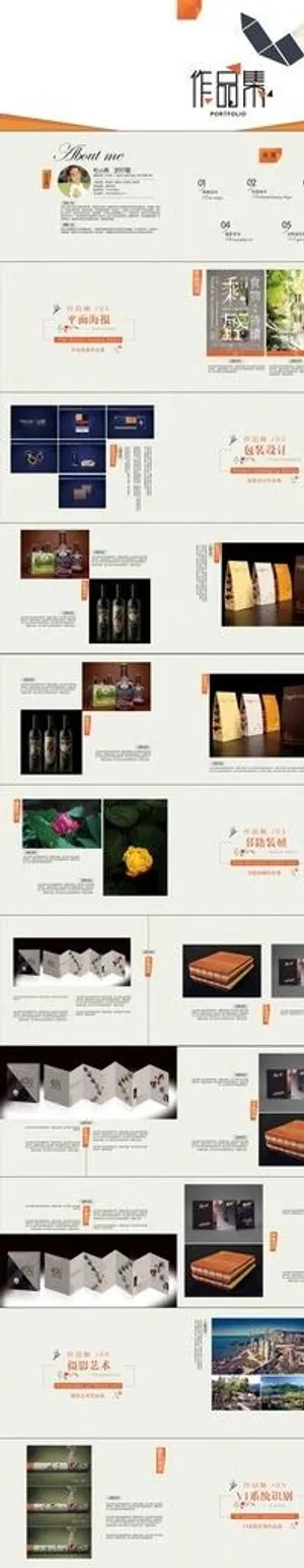 经典毕业作品集模板设计图片