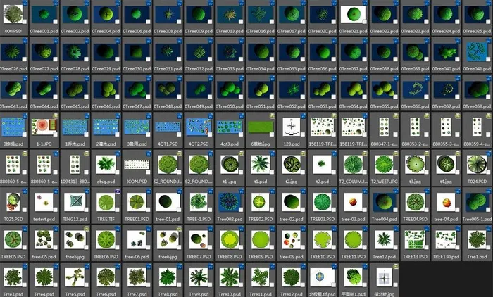 平面树大全图片