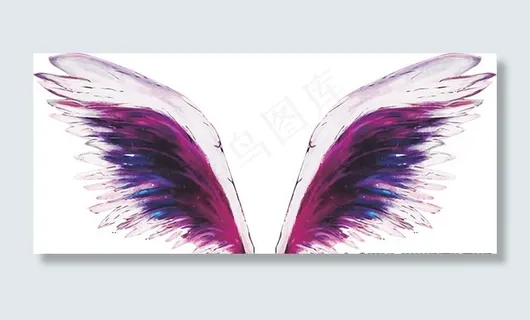 翅膀图片