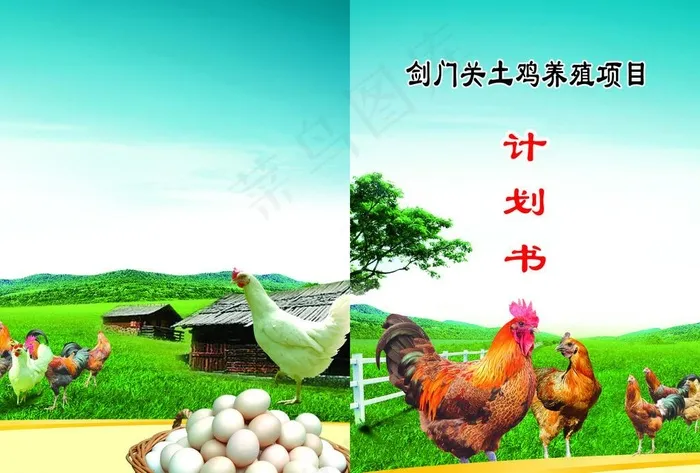 土鸡封面图片cdr矢量模版下载