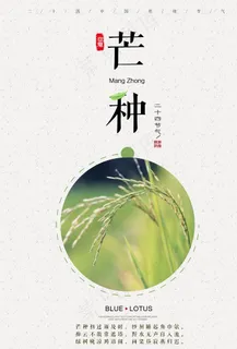 芒种海报图片