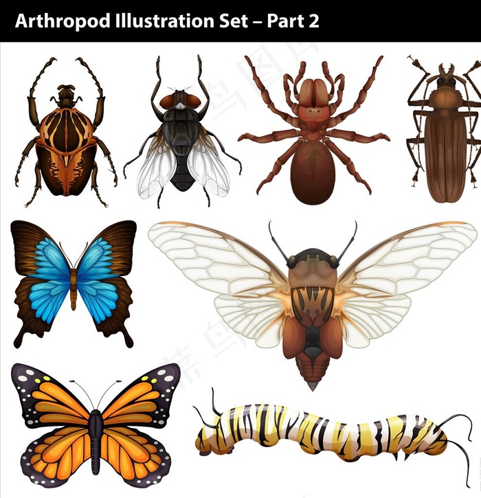卡通昆虫图片ai矢量模版下载