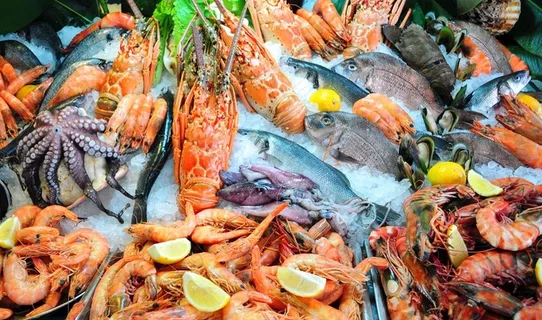 冰冻的海鲜图片