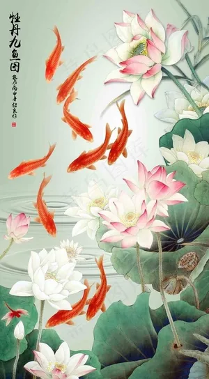 荷花九鱼图图片
