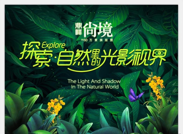 探索自然光影图片(4724X3543(DPI:300))psd模版下载