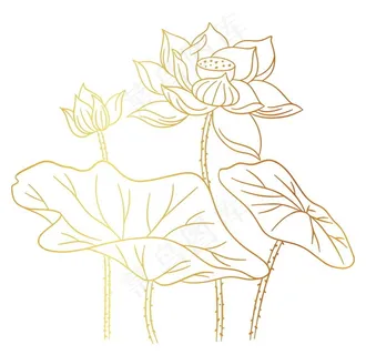 烫金荷花图片