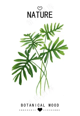 植物装饰画图片