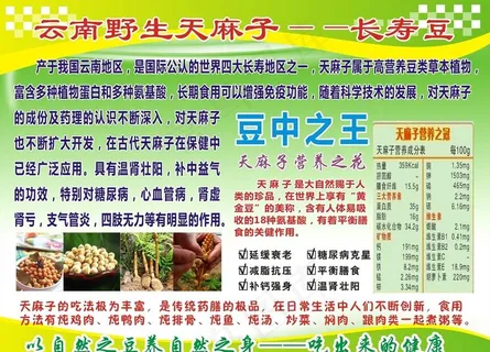 云南天麻子图片