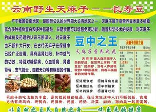 云南天麻子图片