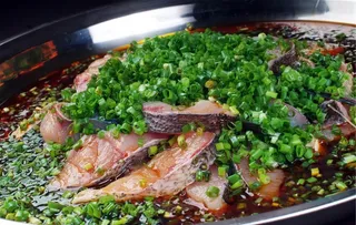 口水鱼草鱼图片