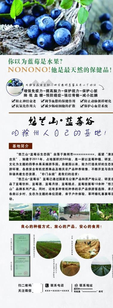 蓝莓展架图片(3150X7874(DPI:100))psd模版下载