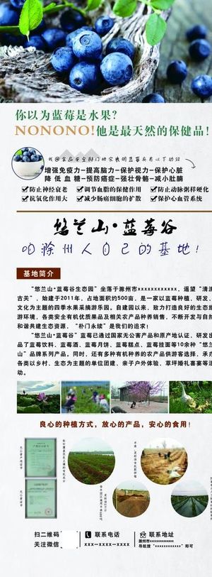 蓝莓展架图片