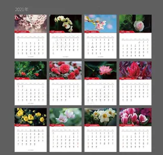 2021年台历日历图片