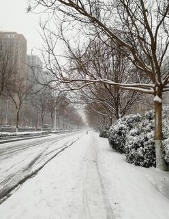 雪天道路图片