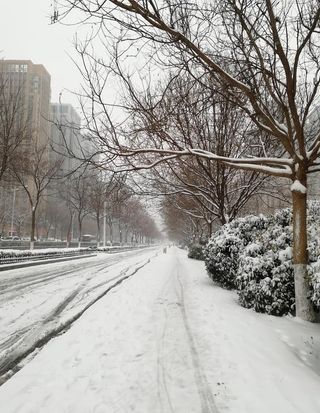雪天道路图片