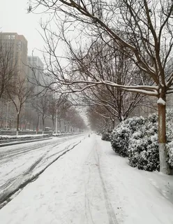 雪天道路图片 雪天道路图片
