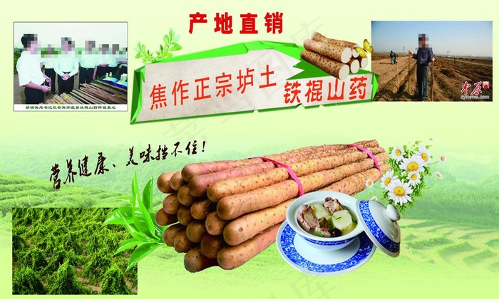 铁棍山药焦作山药写真喷绘海报图片(7480X4724(DPI:100))psd模版下载