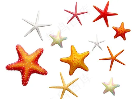 海星创意插图图片