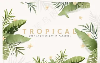 小清新背景图片