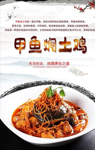 甲鱼焖土鸡海报设计图片