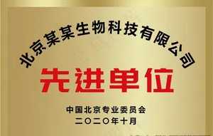 先进单位铜牌模板图片