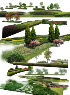 绿篱灌木丛素材图片