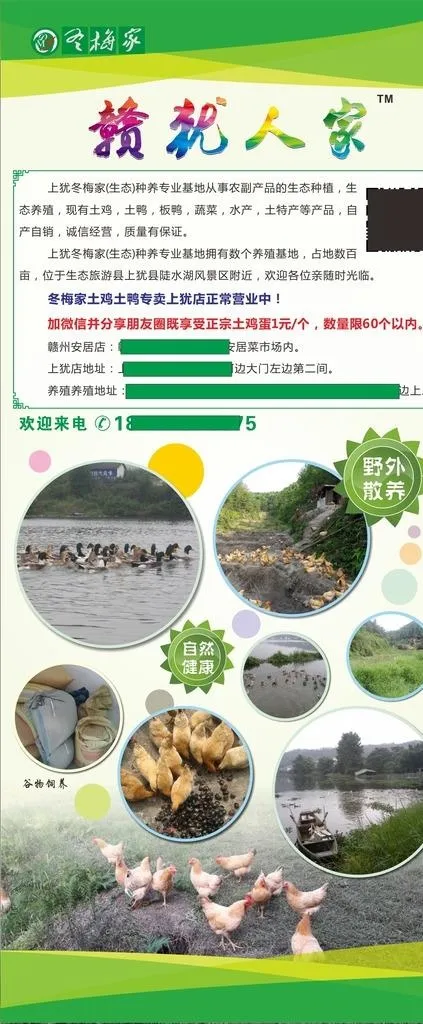 鸡鸭X展架图片(800X2000)cdr矢量模版下载
