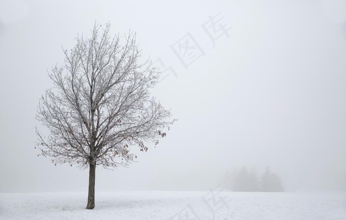 雪地图片
