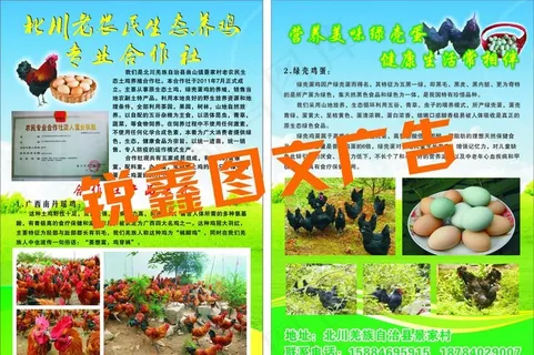 土鸡蛋宣传单图片