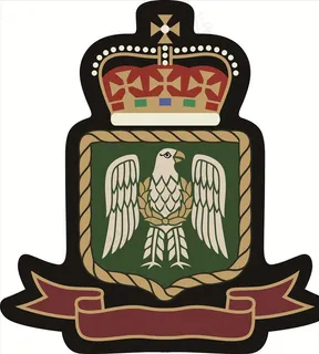 王冠盾牌老鹰勋章矢量图下载图片