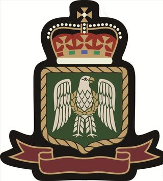 王冠盾牌老鹰勋章矢量图下载图片