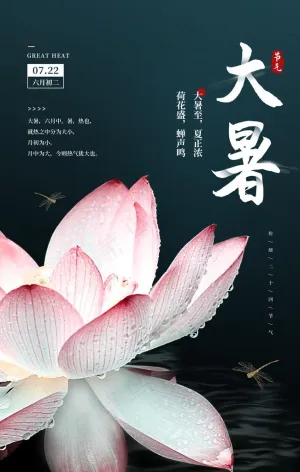 大暑图片