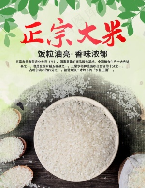 大米图片