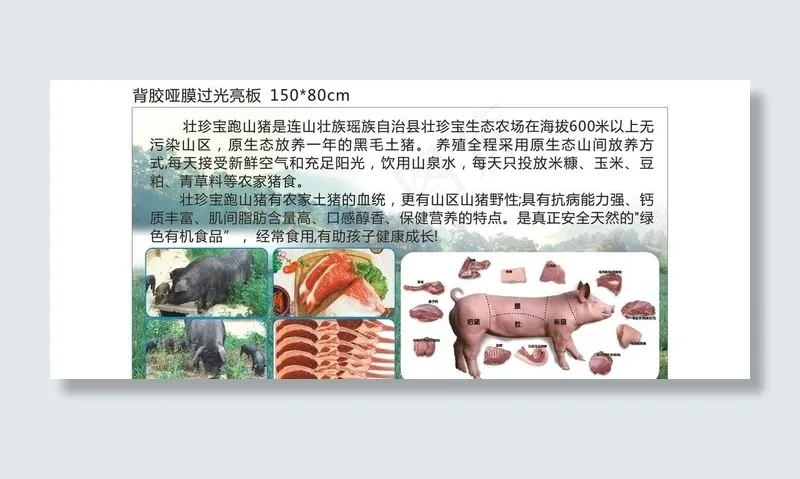 黑毛猪图片