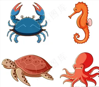 海洋生物图片