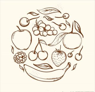 手绘线稿水果圆环图片