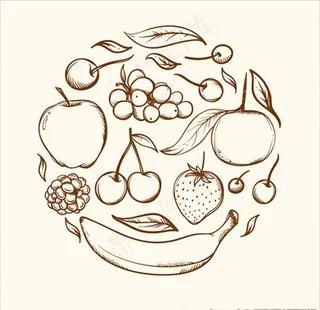 手绘线稿水果圆环图片