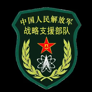战略支援部队臂章图片