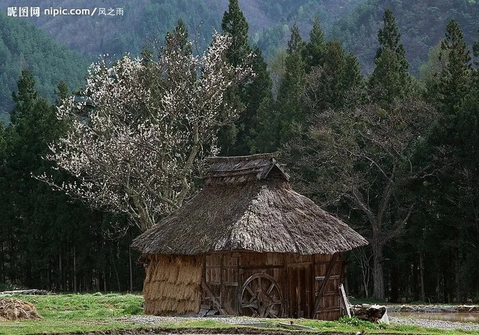 草屋图片