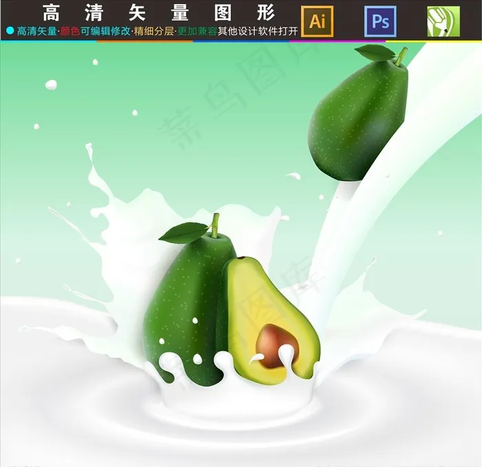 牛油果图片ai矢量模版下载