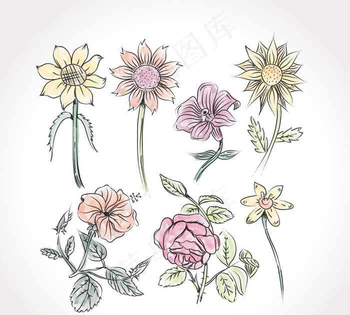 美丽的手绘花卉图片(800X800)eps,ai矢量模版下载